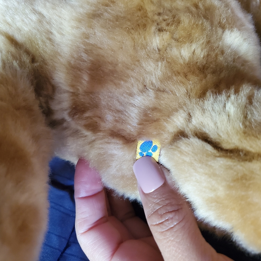 Build a bear Teddy bear - Picture 14 of 16